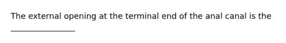 The external opening at the terminal end of the anal canal is the ________________