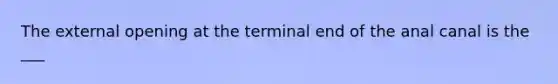 The external opening at the terminal end of the anal canal is the ___