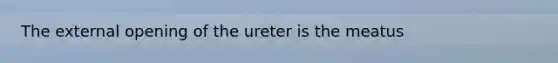 The external opening of the ureter is the meatus