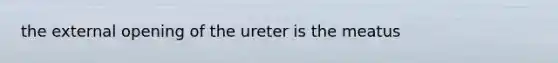 the external opening of the ureter is the meatus