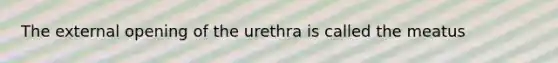 The external opening of the urethra is called the meatus