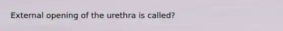 External opening of the urethra is called?