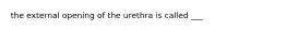 the external opening of the urethra is called ___