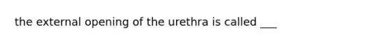 the external opening of the urethra is called ___