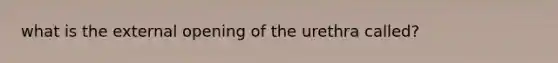 what is the external opening of the urethra called?