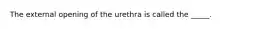 The external opening of the urethra is called the _____.