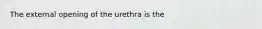 The external opening of the urethra is the