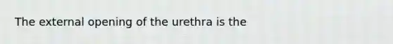 The external opening of the urethra is the