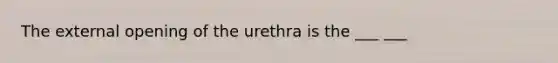 The external opening of the urethra is the ___ ___