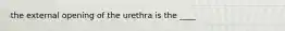 the external opening of the urethra is the ____