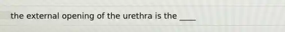 the external opening of the urethra is the ____