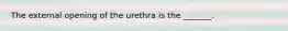 The external opening of the urethra is the _______.