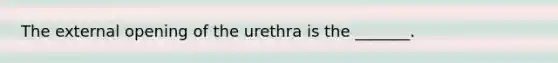 The external opening of the urethra is the _______.