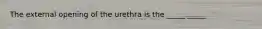 The external opening of the urethra is the _____ _____