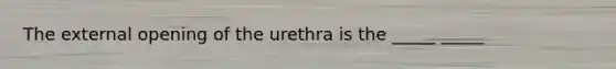 The external opening of the urethra is the _____ _____