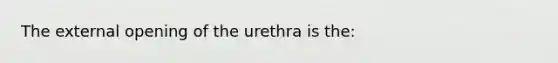 The external opening of the urethra is the: