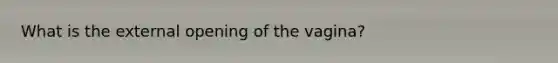 What is the external opening of the vagina?