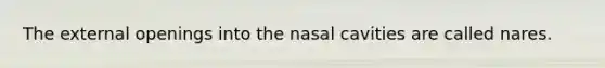 The external openings into the nasal cavities are called nares.