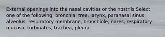 External openings into the nasal cavities or the nostrils Select one of the following; bronchial tree, larynx, paranasal sinus, alveolus, respiratory membrane, bronchiole, nares, respiratory mucosa, turbinates, trachea, pleura.