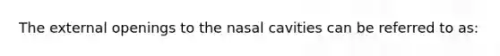 The external openings to the nasal cavities can be referred to as: