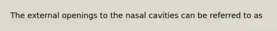 The external openings to the nasal cavities can be referred to as