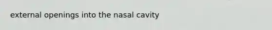 external openings into the nasal cavity