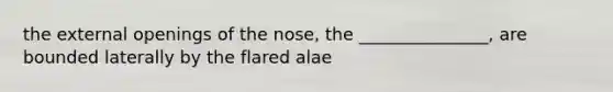 the external openings of the nose, the _______________, are bounded laterally by the flared alae