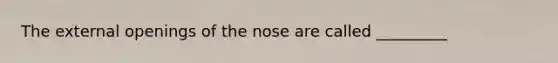 The external openings of the nose are called _________