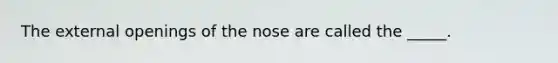 The external openings of the nose are called the _____.