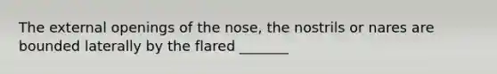 The external openings of the nose, the nostrils or nares are bounded laterally by the flared _______