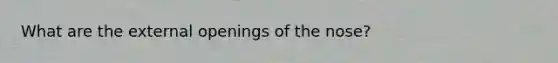 What are the external openings of the nose?