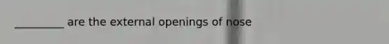 _________ are the external openings of nose