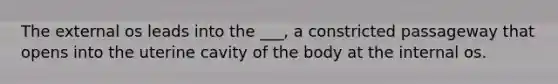 The external os leads into the ___, a constricted passageway that opens into the uterine cavity of the body at the internal os.