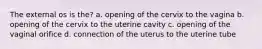 The external os is the? a. opening of the cervix to the vagina b. opening of the cervix to the uterine cavity c. opening of the vaginal orifice d. connection of the uterus to the uterine tube