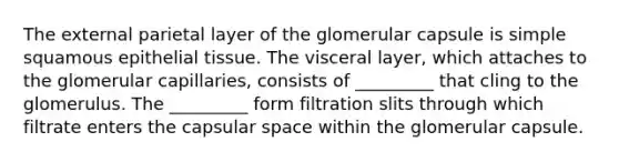 The external parietal layer of the glomerular capsule is simple squamous epithelial tissue. The visceral layer, which attaches to the glomerular capillaries, consists of _________ that cling to the glomerulus. The _________ form filtration slits through which filtrate enters the capsular space within the glomerular capsule.