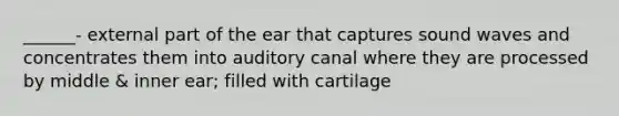 ______- external part of the ear that captures sound waves and concentrates them into auditory canal where they are processed by middle & inner ear; filled with cartilage