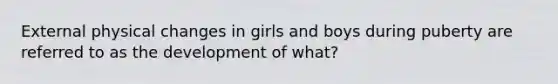 External physical changes in girls and boys during puberty are referred to as the development of what?