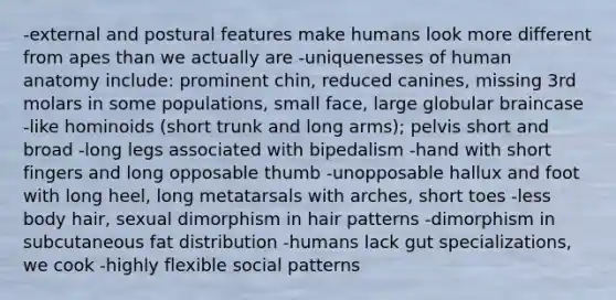 -external and postural features make humans look more different from apes than we actually are -uniquenesses of human anatomy include: prominent chin, reduced canines, missing 3rd molars in some populations, small face, large globular braincase -like hominoids (short trunk and long arms); pelvis short and broad -long legs associated with bipedalism -hand with short fingers and long opposable thumb -unopposable hallux and foot with long heel, long metatarsals with arches, short toes -less body hair, sexual dimorphism in hair patterns -dimorphism in subcutaneous fat distribution -humans lack gut specializations, we cook -highly flexible social patterns