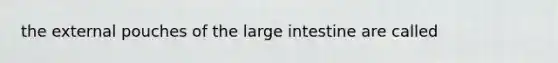 the external pouches of the large intestine are called