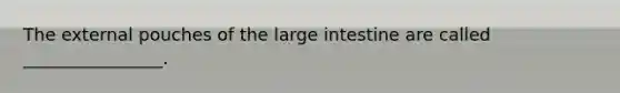 The external pouches of the large intestine are called ________________.