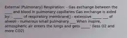 External (Pulmonary) Respiration: - Gas exchange between the ____ and blood in pulmonary capillaries Gas exchange is aided by: - _____ of respiratory membrane - extensive _____ ___ of alveoli - numerous small pulmonary ___ When inspire, atmospheric air enters the lungs and gets _____' (less O2 and more CO2)