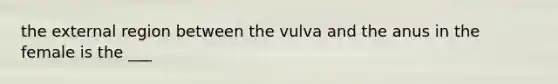 the external region between the vulva and the anus in the female is the ___