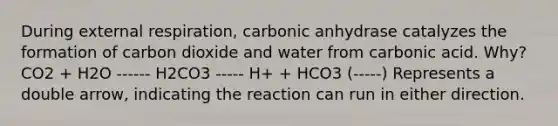 During external respiration, carbonic anhydrase catalyzes the formation of carbon dioxide and water from carbonic acid. Why? CO2 + H2O ------ H2CO3 ----- H+ + HCO3 (-----) Represents a double arrow, indicating the reaction can run in either direction.