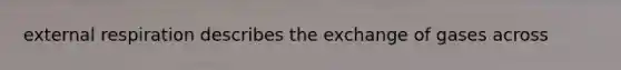 external respiration describes the exchange of gases across