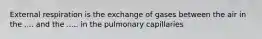 External respiration is the exchange of gases between the air in the .... and the ..... in the pulmonary capillaries