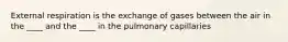 External respiration is the exchange of gases between the air in the ____ and the ____ in the pulmonary capillaries