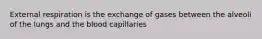 External respiration is the exchange of gases between the alveoli of the lungs and the blood capillaries