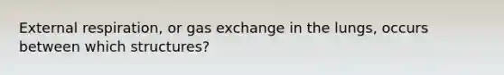 External respiration, or gas exchange in the lungs, occurs between which structures?