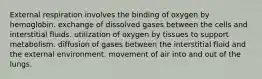 External respiration involves the binding of oxygen by hemoglobin. exchange of dissolved gases between the cells and interstitial fluids. utilization of oxygen by tissues to support metabolism. diffusion of gases between the interstitial fluid and the external environment. movement of air into and out of the lungs.