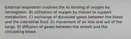 External respiration involves the A) binding of oxygen by hemoglobin. B) utilization of oxygen by tissues to support metabolism. C) exchange of dissolved gases between the blood and the interstitial fluid. D) movement of air into and out of the lungs. E) diffusion of gases between the alveoli and the circulating blood.